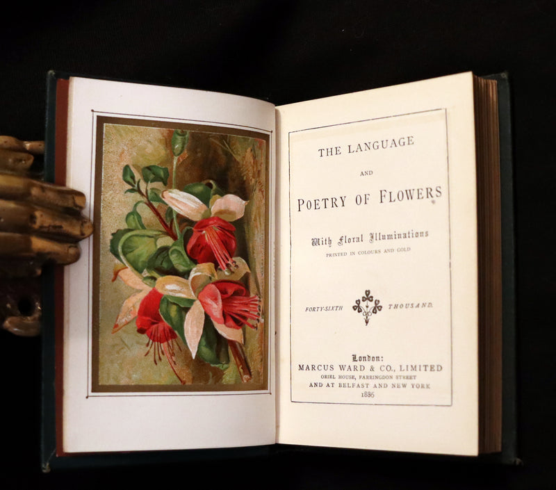 1886 Rare Floriography Book ~ The Language and Poetry of Flowers. Illustrated.