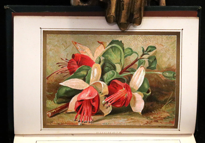 1886 Rare Floriography Book ~ The Language and Poetry of Flowers. Illustrated.