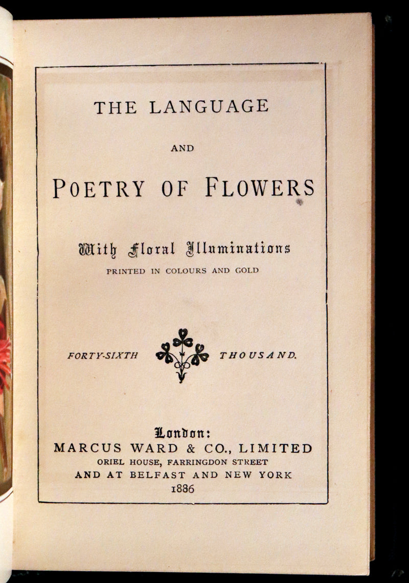1886 Rare Floriography Book ~ The Language and Poetry of Flowers. Illustrated.