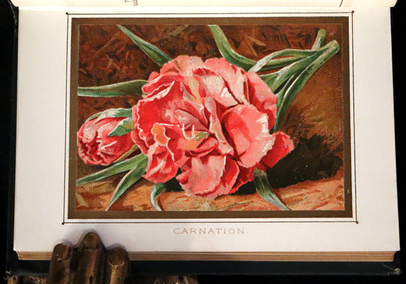 1886 Rare Floriography Book ~ The Language and Poetry of Flowers. Illustrated.