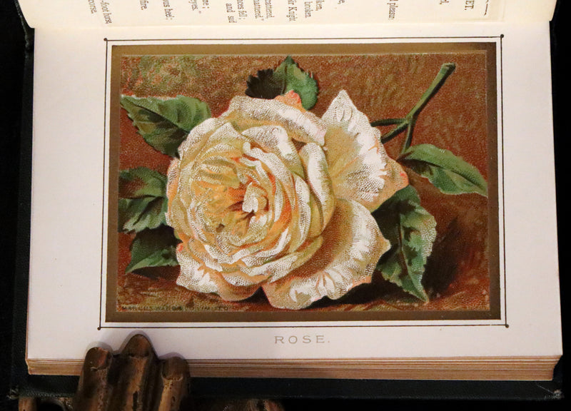 1886 Rare Floriography Book ~ The Language and Poetry of Flowers. Illustrated.