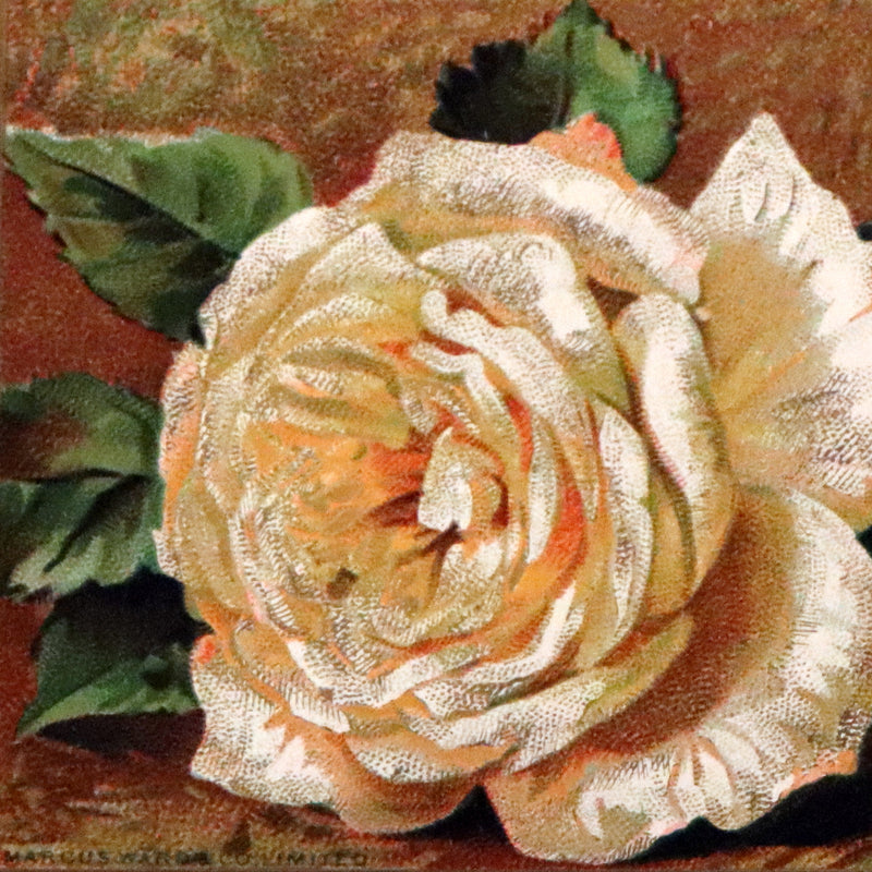 1886 Rare Floriography Book ~ The Language and Poetry of Flowers. Illustrated.