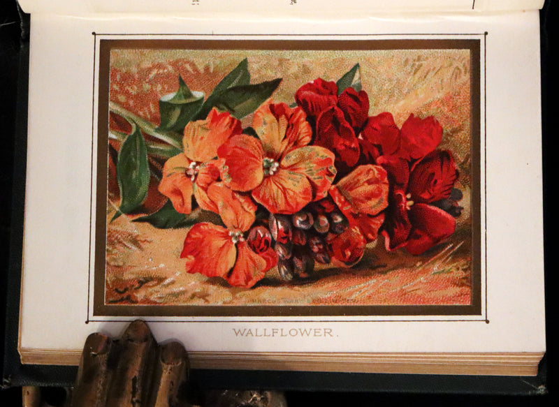 1886 Rare Floriography Book ~ The Language and Poetry of Flowers. Illustrated.