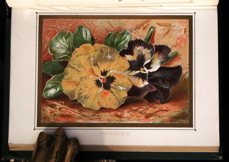 1886 Rare Floriography Book ~ The Language and Poetry of Flowers. Illustrated.