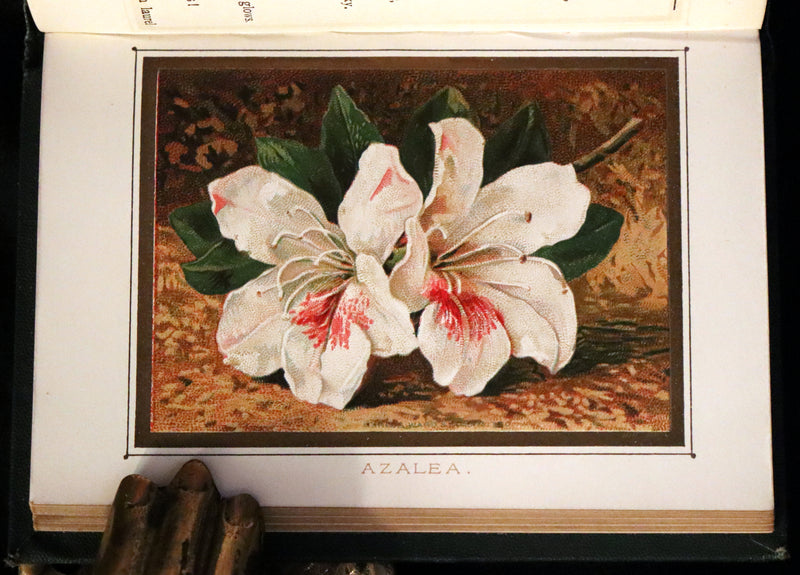 1886 Rare Floriography Book ~ The Language and Poetry of Flowers. Illustrated.