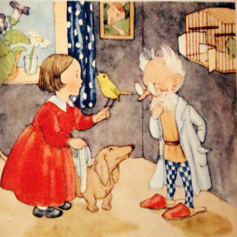 1943 Scarce First English Edition - The PET'S DOCTOR illustrated by Ida Bohatta Morpurgo.