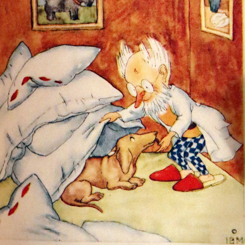 1943 Scarce First English Edition - The PET'S DOCTOR illustrated by Ida Bohatta Morpurgo.