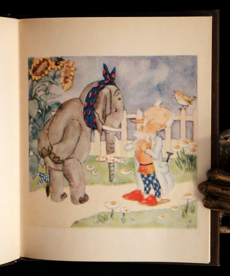 1943 Scarce First English Edition - The PET'S DOCTOR illustrated by Ida Bohatta Morpurgo.