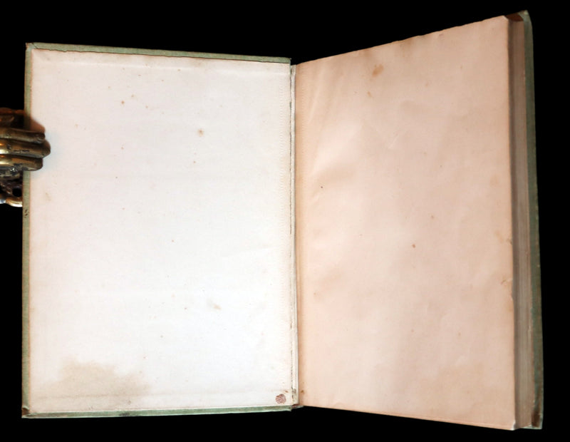 1895 Scarce Book - THE FAIRIES' FESTIVAL by John Witt Randall illustrated by Francis Gilbert Attwood.