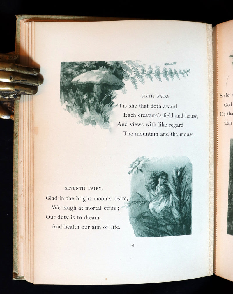 1895 Scarce Book - THE FAIRIES' FESTIVAL by John Witt Randall illustrated by Francis Gilbert Attwood.