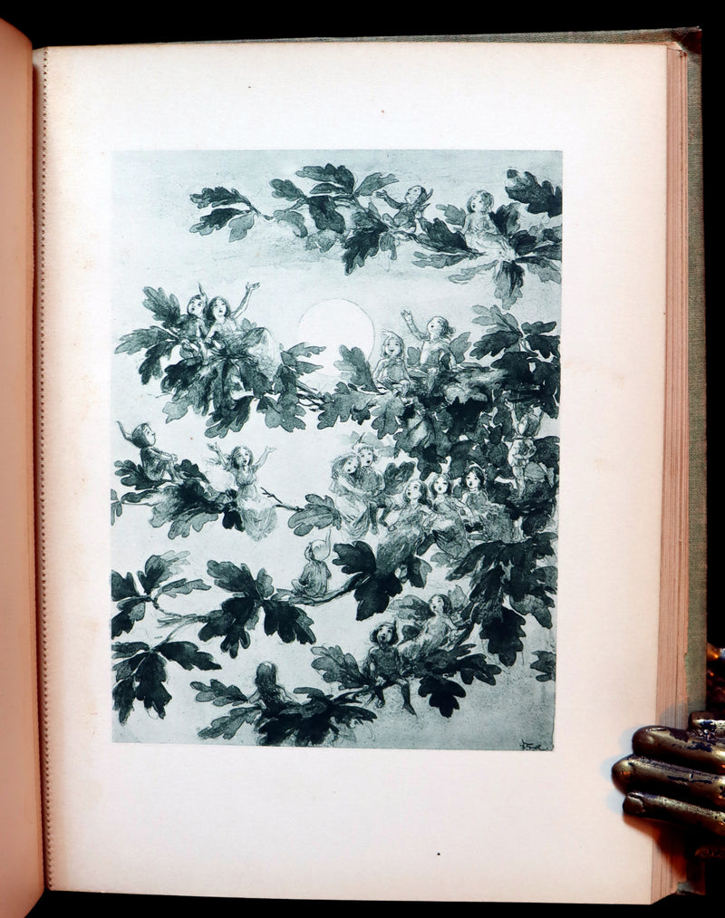 1895 Scarce Book - THE FAIRIES' FESTIVAL by John Witt Randall illustrated by Francis Gilbert Attwood.