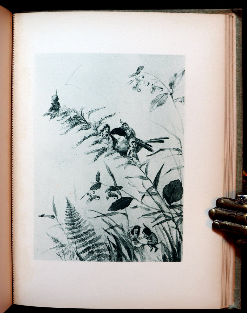 1895 Scarce Book - THE FAIRIES' FESTIVAL by John Witt Randall illustrated by Francis Gilbert Attwood.