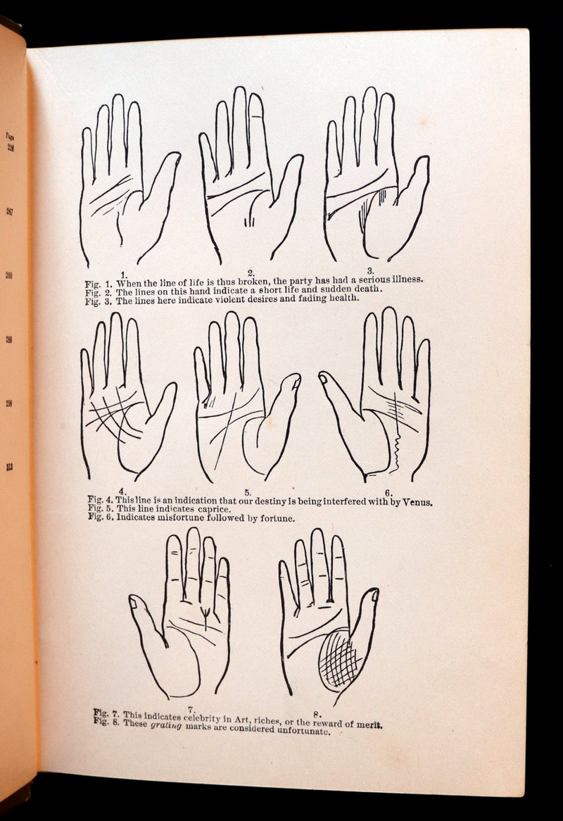 1880 Scarce Book - Your Luck's in your Hand, PALMISTRY with some account of the Gipsies