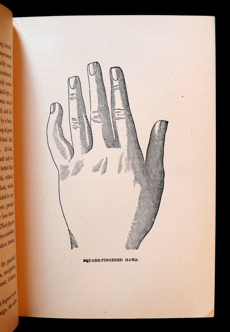 1880 Scarce Book - Your Luck's in your Hand, PALMISTRY with some account of the Gipsies