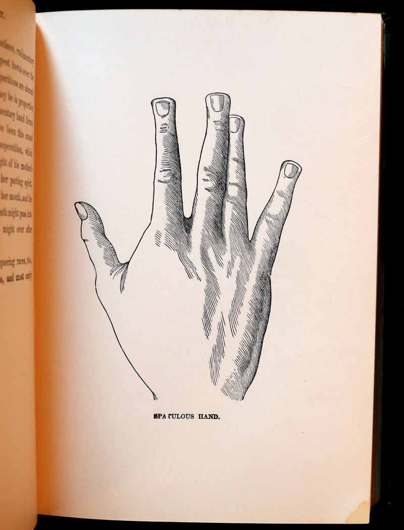 1880 Scarce Book - Your Luck's in your Hand, PALMISTRY with some account of the Gipsies