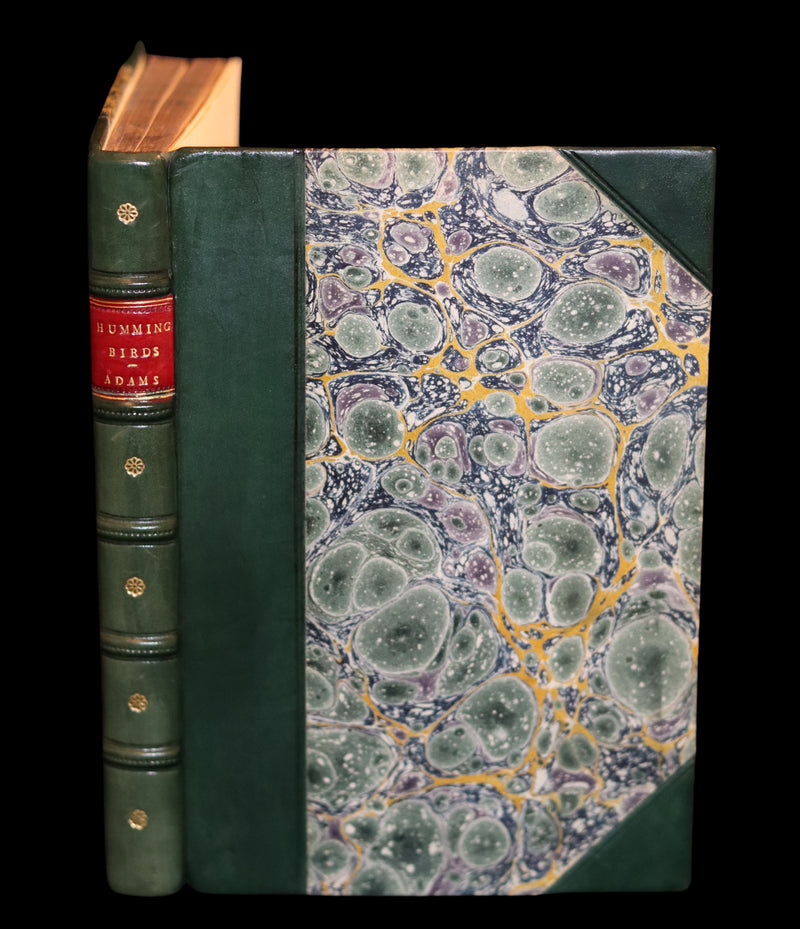 1856 Scarce Ornithology Book ~ HUMMING BIRDS Color Illustrated. By Henry Gardiner Adams.