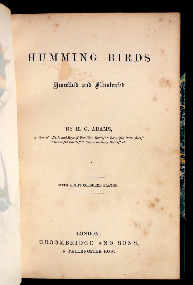 1856 Scarce Ornithology Book ~ HUMMING BIRDS Color Illustrated. By Henry Gardiner Adams.