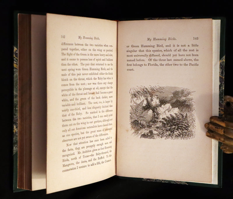 1856 Scarce Ornithology Book ~ HUMMING BIRDS Color Illustrated. By Henry Gardiner Adams.