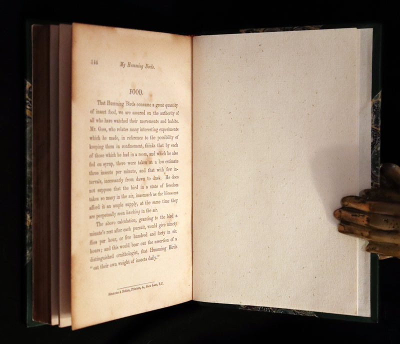 1856 Scarce Ornithology Book ~ HUMMING BIRDS Color Illustrated. By Henry Gardiner Adams.