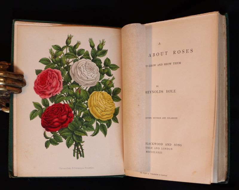1872 Rare Victorian Gardening Book -  A Book about ROSES, How to grow and show them.