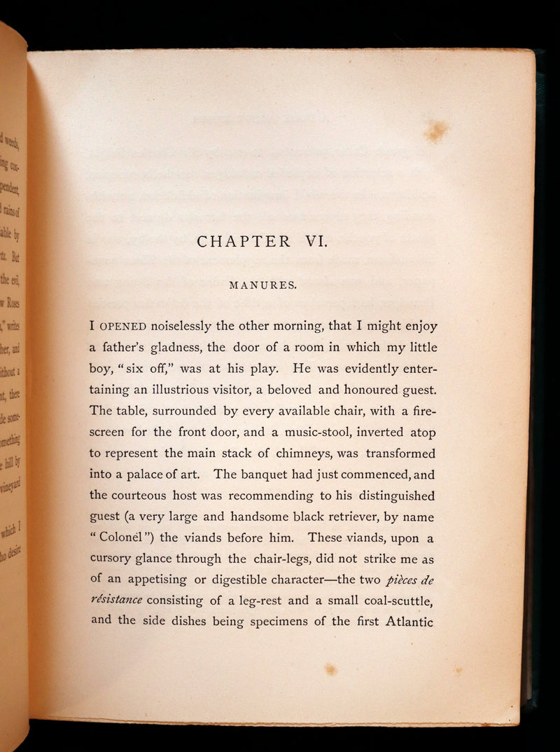 1872 Rare Victorian Gardening Book -  A Book about ROSES, How to grow and show them.