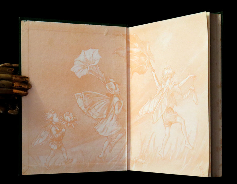 1950 Rare First Edition - FAIRIES OF THE FLOWERS & TREES by Cicely Mary Barker.
