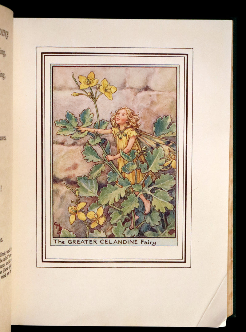 1950 Rare First Edition - FAIRIES OF THE FLOWERS & TREES by Cicely Mary Barker.