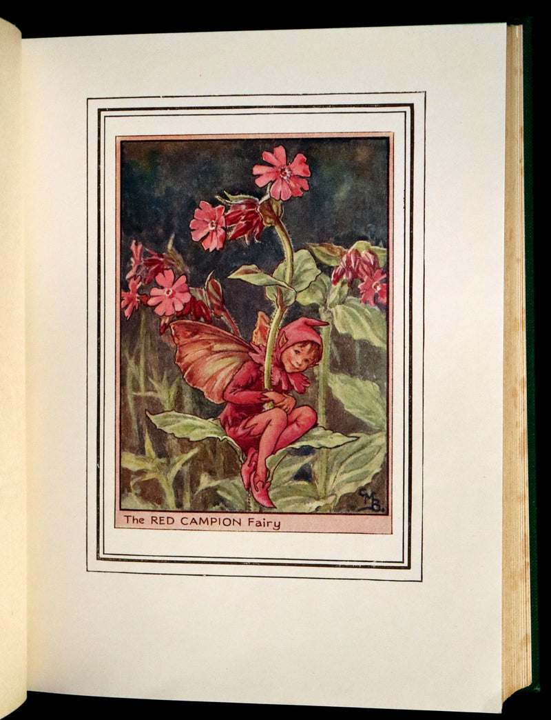 1950 Rare First Edition - FAIRIES OF THE FLOWERS & TREES by Cicely Mary Barker.