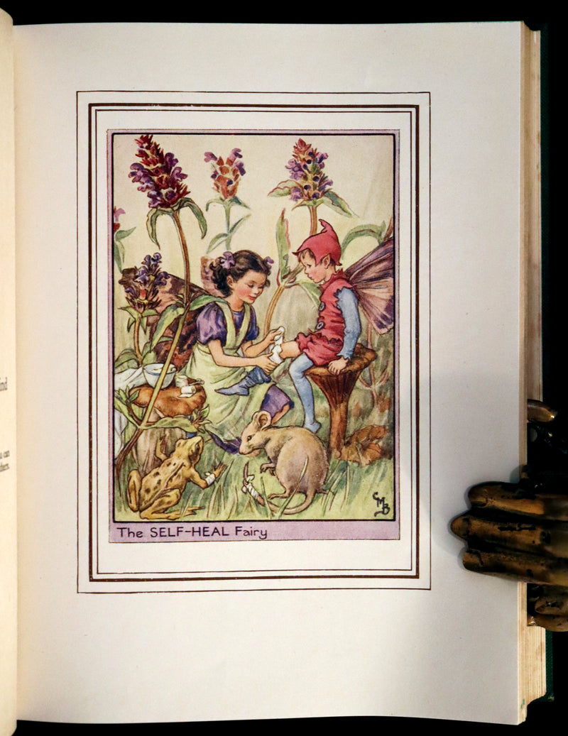 1950 Rare First Edition - FAIRIES OF THE FLOWERS & TREES by Cicely Mary Barker.