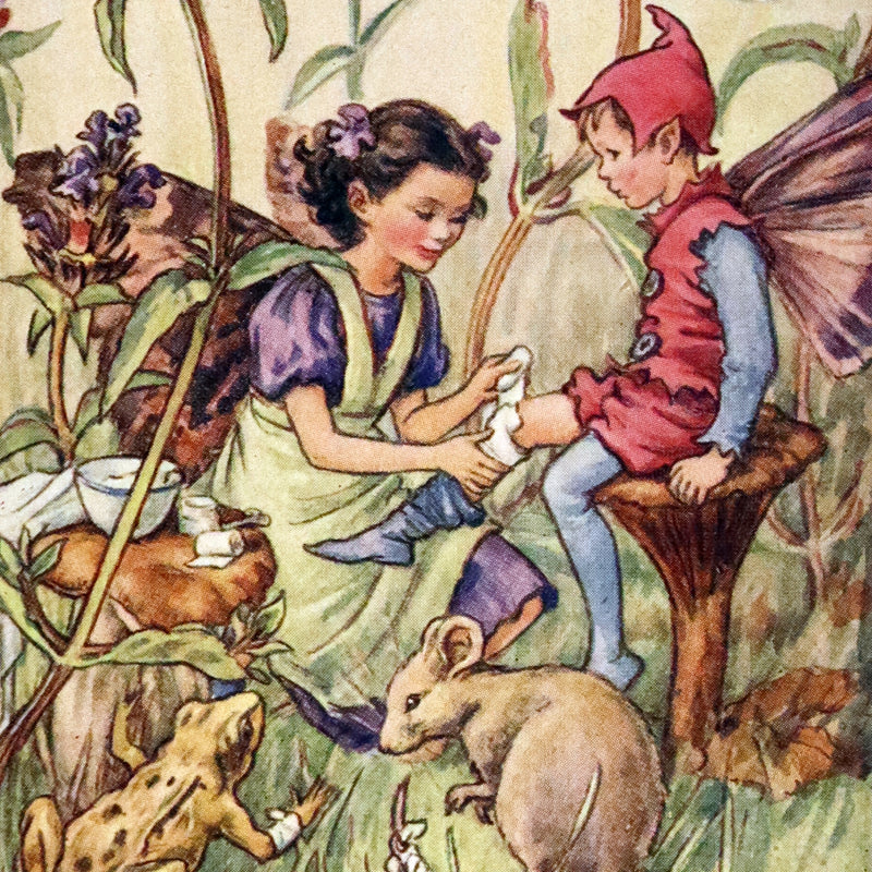 1950 Rare First Edition - FAIRIES OF THE FLOWERS & TREES by Cicely Mary Barker.