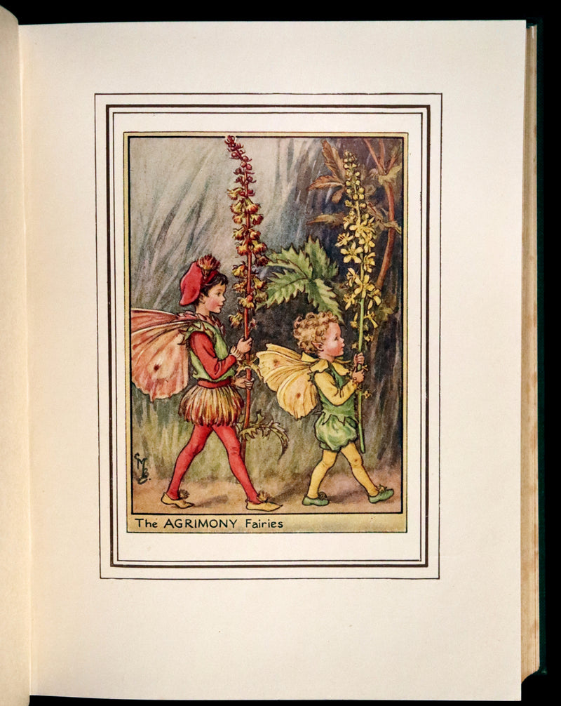 1950 Rare First Edition - FAIRIES OF THE FLOWERS & TREES by Cicely Mary Barker.
