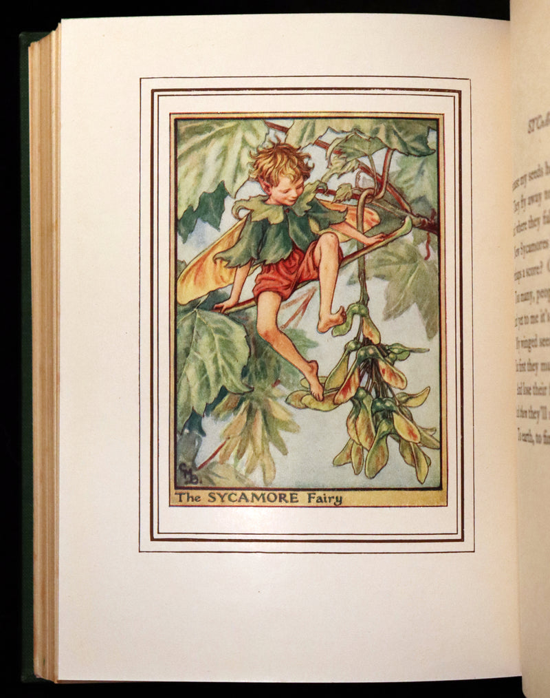 1950 Rare First Edition - FAIRIES OF THE FLOWERS & TREES by Cicely Mary Barker.