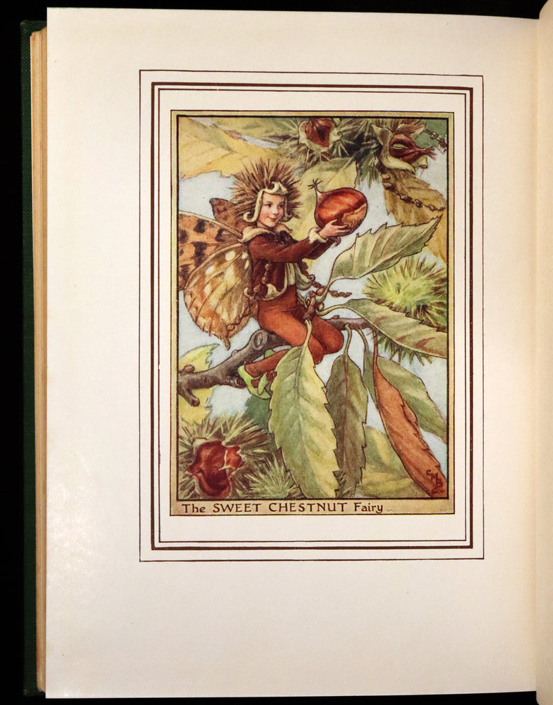 1950 Rare First Edition - FAIRIES OF THE FLOWERS & TREES by Cicely Mary Barker.