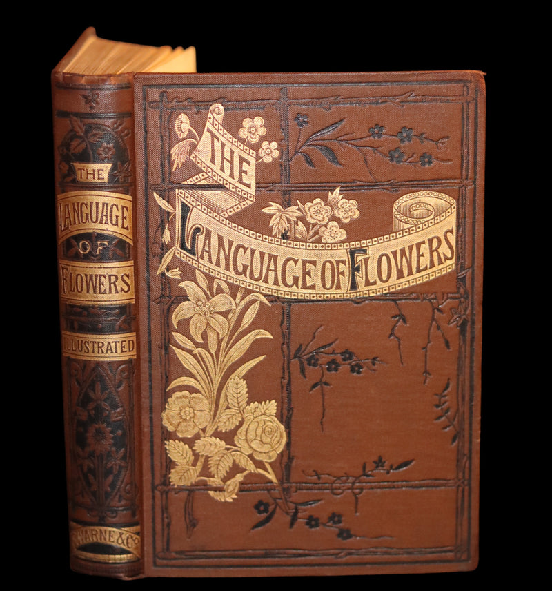 1870 Scarce Floriography Book ~ The Language of Flowers Including Floral Poetry Illustrated.