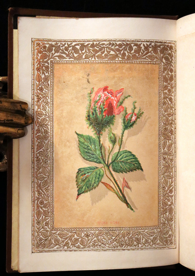 1870 Scarce Floriography Book ~ The Language of Flowers Including Floral Poetry Illustrated.