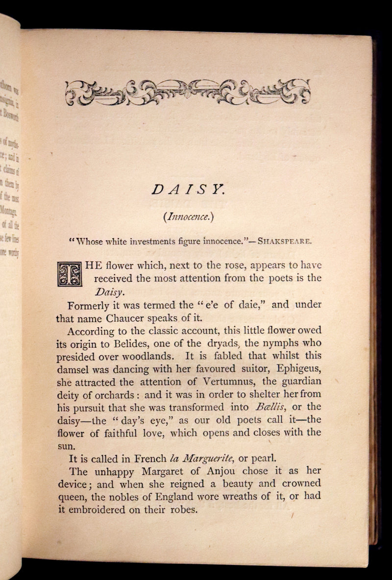 1870 Scarce Floriography Book ~ The Language of Flowers Including Floral Poetry Illustrated.