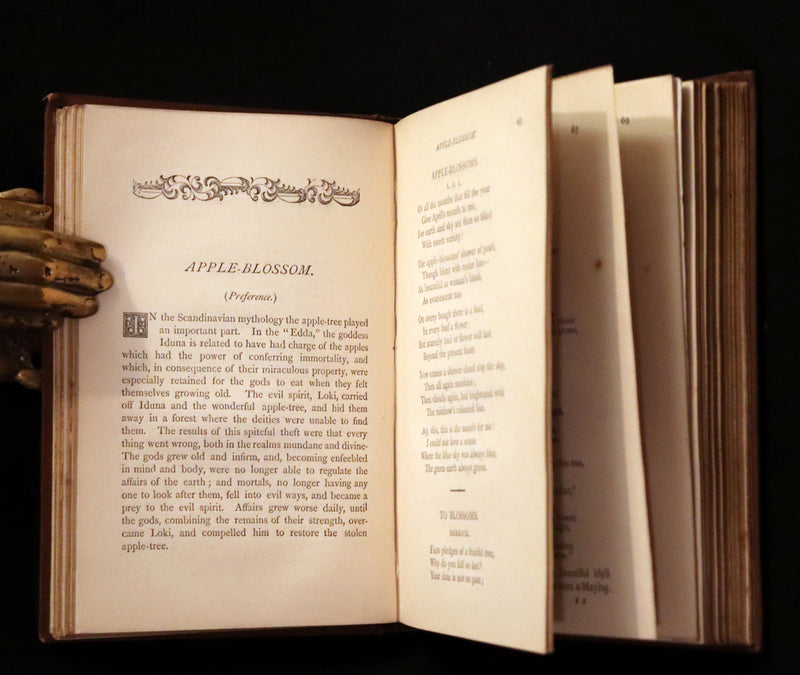 1870 Scarce Floriography Book ~ The Language of Flowers Including Floral Poetry Illustrated.