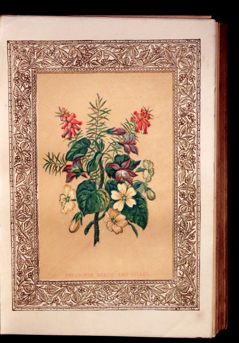 1870 Scarce Floriography Book ~ The Language of Flowers Including Floral Poetry Illustrated.