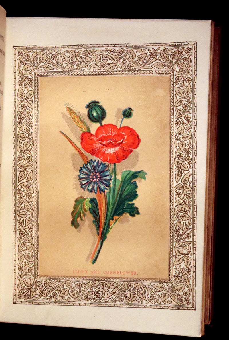 1870 Scarce Floriography Book ~ The Language of Flowers Including Floral Poetry Illustrated.
