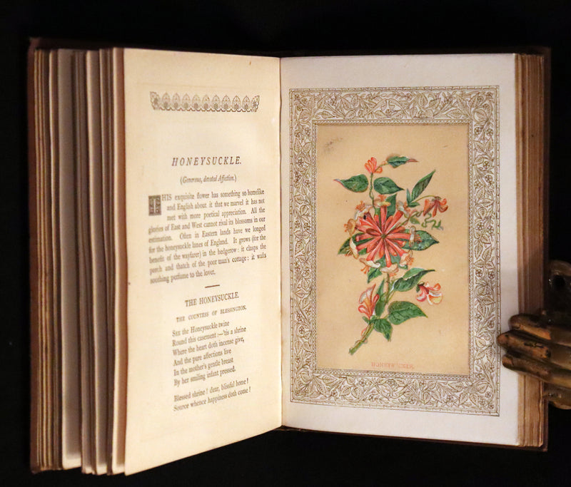 1870 Scarce Floriography Book ~ The Language of Flowers Including Floral Poetry Illustrated.