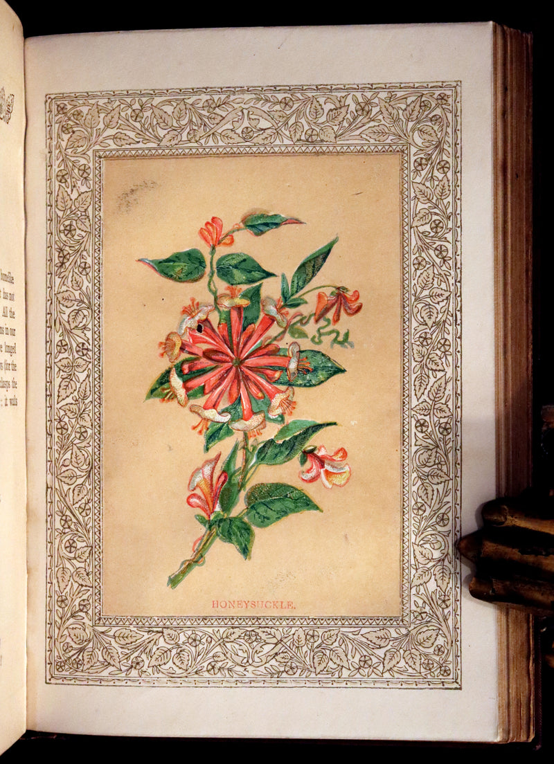 1870 Scarce Floriography Book ~ The Language of Flowers Including Floral Poetry Illustrated.