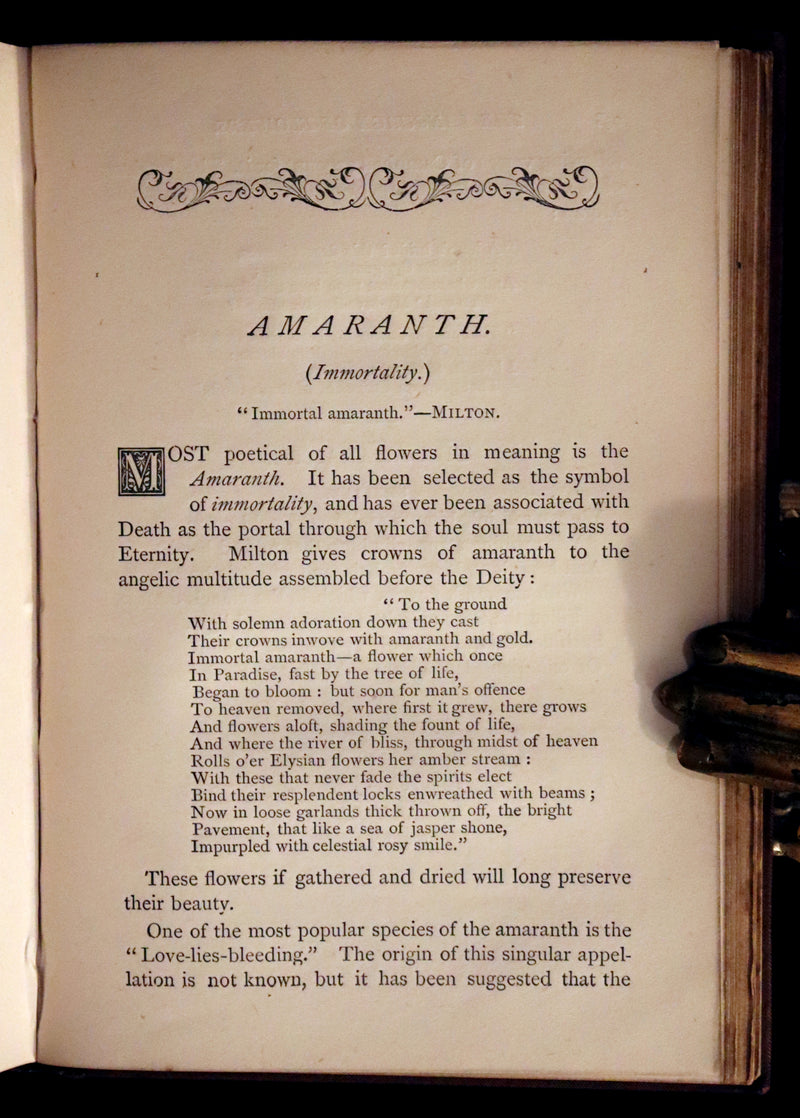 1870 Scarce Floriography Book ~ The Language of Flowers Including Floral Poetry Illustrated.