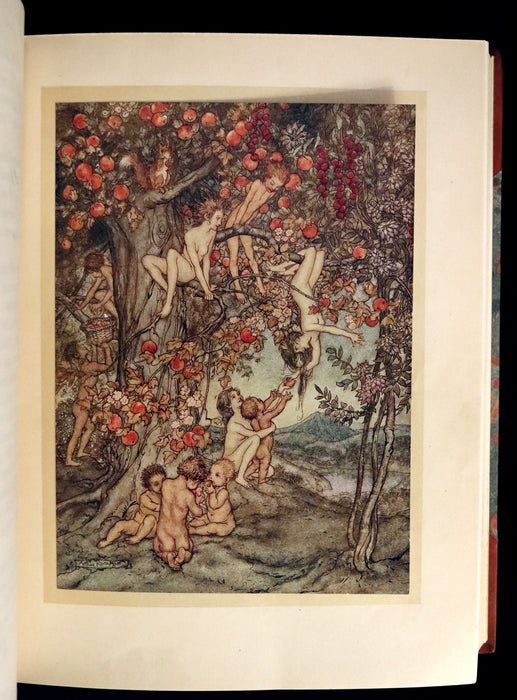 1922 Rare First Edition - A WONDER BOOK by Nathaniel Hawthorne illustrated by Arthur RACKHAM.