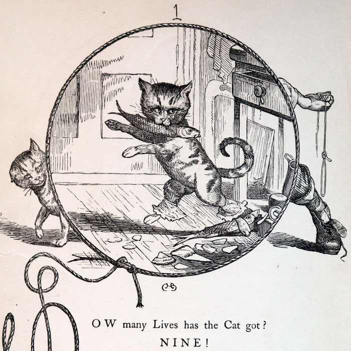 1863 Scarce First Edition - THE NINE LIVES OF A CAT - Tale of Wonder illustrated by Charles H. Bennett.