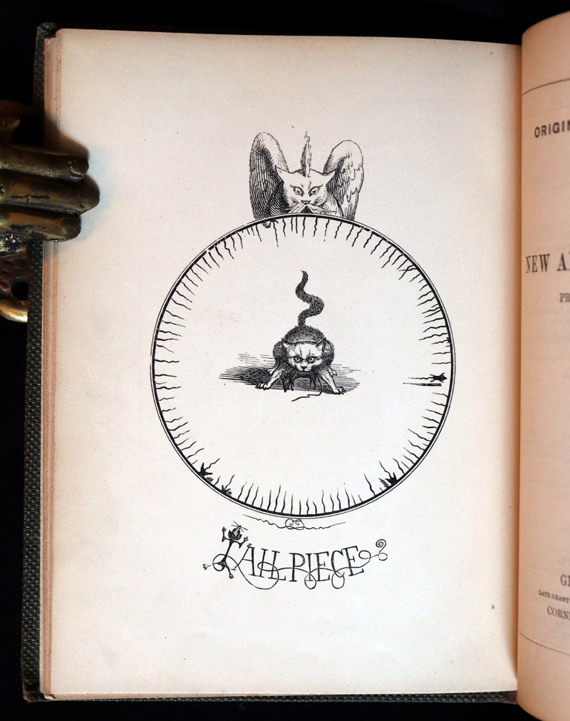 1863 Scarce First Edition - THE NINE LIVES OF A CAT - Tale of Wonder illustrated by Charles H. Bennett.