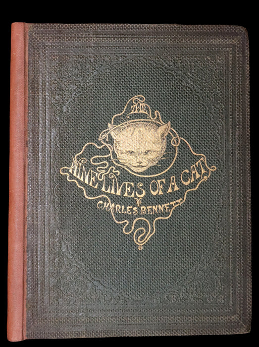 1863 Scarce First Edition - THE NINE LIVES OF A CAT - Tale of Wonder illustrated by Charles H. Bennett.