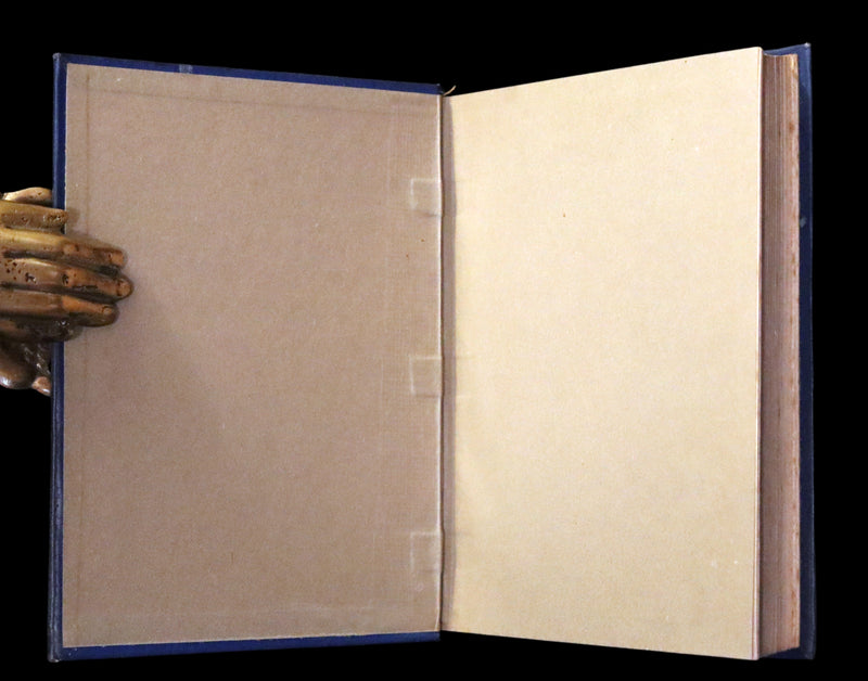 1910 Rare First Edition - Lucy-Mary or The Cobweb Cloak illustrated by Margaret W. Tarrant.