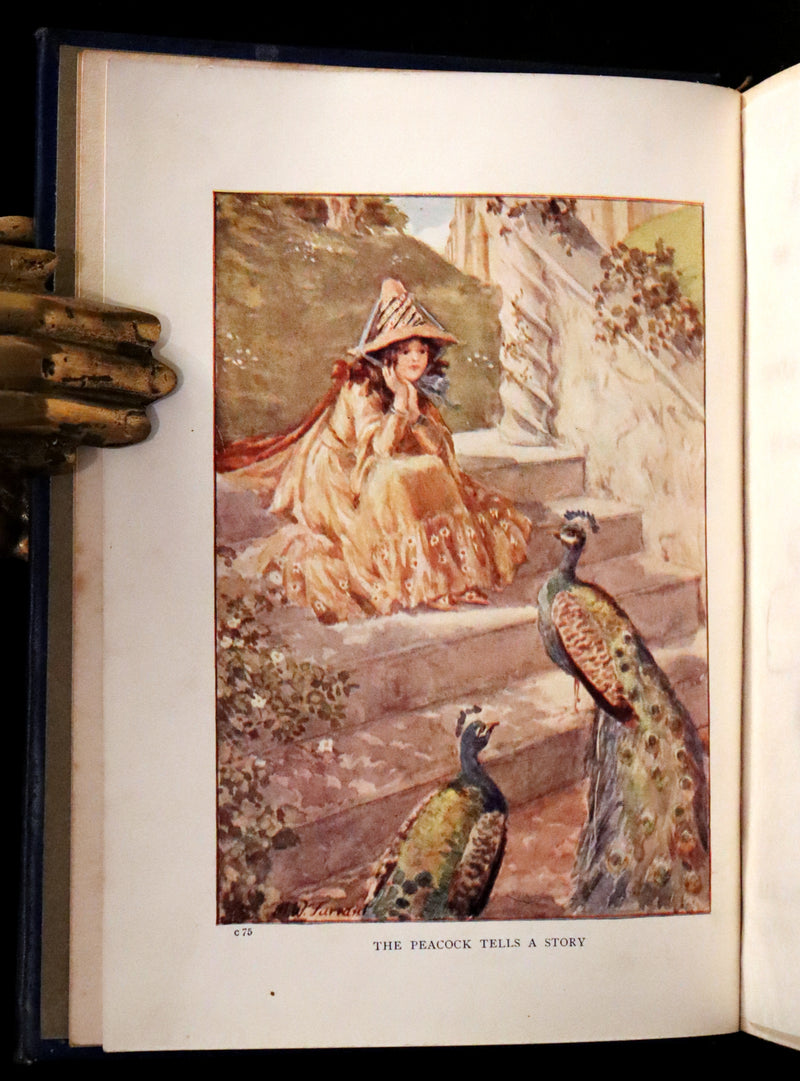 1910 Rare First Edition - Lucy-Mary or The Cobweb Cloak illustrated by Margaret W. Tarrant.