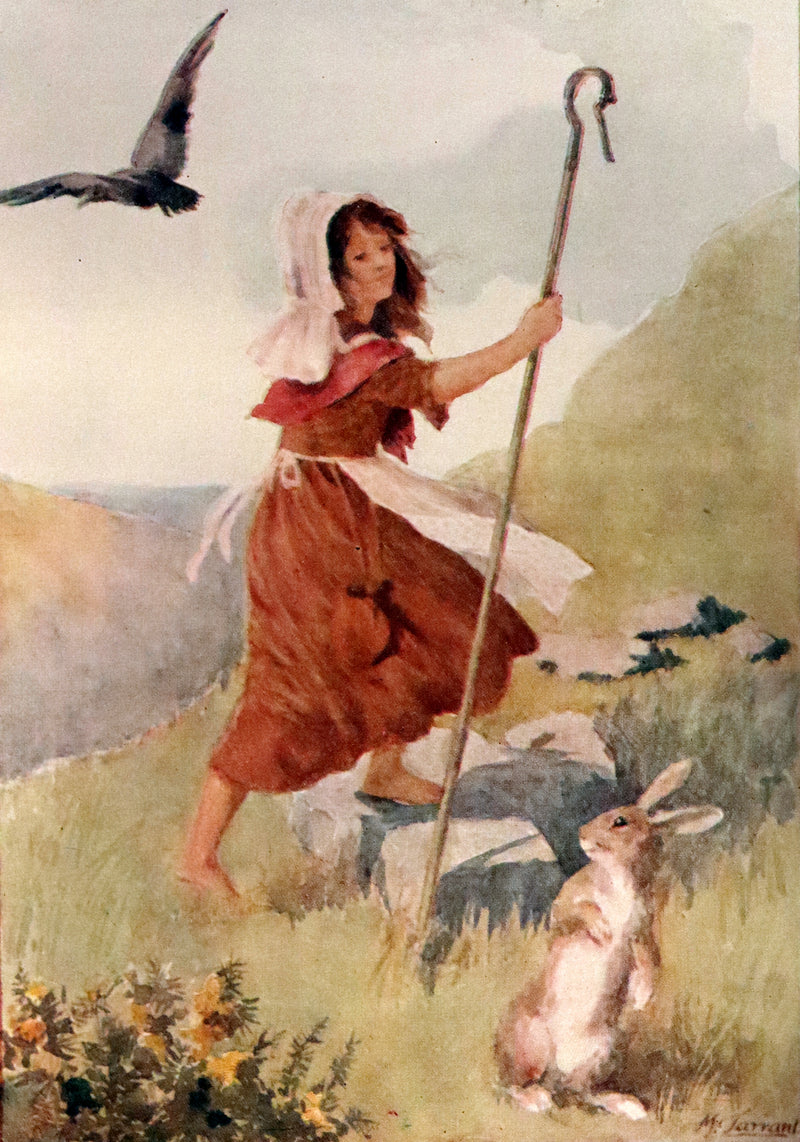 1910 Rare First Edition - Lucy-Mary or The Cobweb Cloak illustrated by Margaret W. Tarrant.