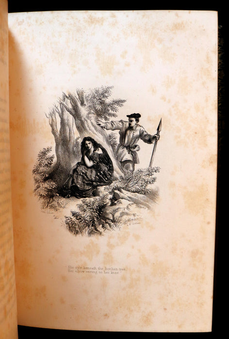 1866 Rare Book in a beautiful binding ~ The LADY OF THE LAKE by Sir Walter Scott Illustrated by J. Gilbert.